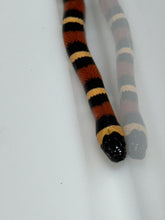 Load image into Gallery viewer, Apricot Pueblan Milk Snake- (MS2)