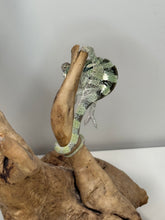 Load image into Gallery viewer, SAMBAVA Panther Chameleon: (E11)