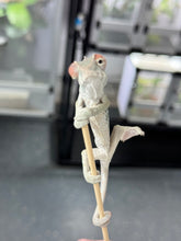 Load image into Gallery viewer, AMBILOBE Panther Chameleon: Rogue x Phoenix (R1)