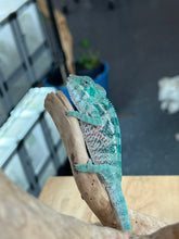 Load image into Gallery viewer, AMBANJA/NOSY FALY male (E16)