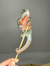 Load image into Gallery viewer, AMBILOBE Panther Chameleon male: (E7)