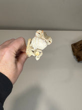 Load image into Gallery viewer, AMBANJA FEMALE Panther Chameleon: đș (R1)