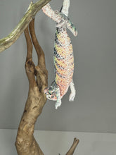 Load image into Gallery viewer, AMBILOBE Male Panther Chameleon: (E1)