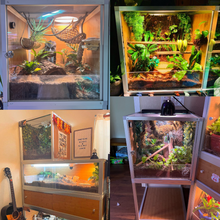 Load image into Gallery viewer, 2'x2'x2' Reptile Enclosure - The Zen Habitat 3.0
