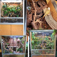 Load image into Gallery viewer, 4&#39;x2&#39;x4&#39; Meridian PVC Reptile Enclosure
