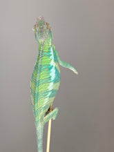 Load image into Gallery viewer, ANKIFY X AMBILOBE Panther Chameleon: (E17)