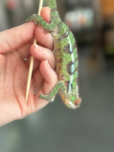 Load image into Gallery viewer, SAMBAVA Panther Chameleon: Marley x Mabel (J1)