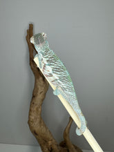 Load image into Gallery viewer, Designer Panther Chameleon: (E17)