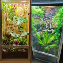 Load image into Gallery viewer, 2'x2'x4' Reptile Enclosure - The Zen Habitat 3.0