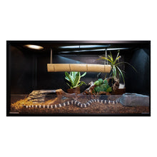 Load image into Gallery viewer, 4'x2'x2' Reptile Enclosure - The Zen Habitat 3.0