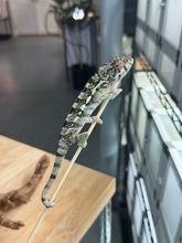 Load image into Gallery viewer, AMBILOBE Panther Chameleon: Frank x Sandy (R20)
