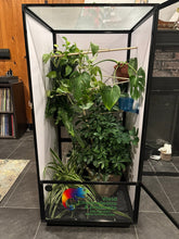 Load image into Gallery viewer, Size 24: 24"x24"x48" Deluxe All-In-One WIFI Controlled Automated Chameleon kit -Black Frame back in stock by Jan 15 2026