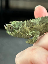 Load image into Gallery viewer, Male Jackson’s Chameleon: I7