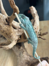 Load image into Gallery viewer, AMBILOBE Panther Chameleon: Frank x Sandy (Q2)