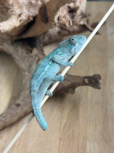 Load image into Gallery viewer, AMBILOBE Panther Chameleon: Frank x Sandy (Q2)