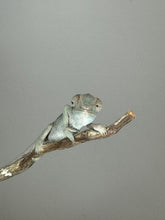 Load image into Gallery viewer, SAMBAVA FEMALE Panther Chameleon: 🚺 (S10)