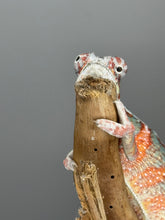 Load image into Gallery viewer, AMBILOBE Panther Chameleon: (J2)