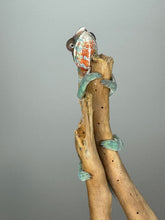 Load image into Gallery viewer, AMBILOBE Male Panther Chameleon: (E14)