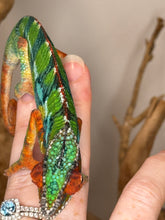 Load image into Gallery viewer, Striking red dorsal crest of an ambilobe panther chameleon