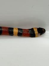 Load image into Gallery viewer, Apricot Pueblan Milk Snake- (MS4)