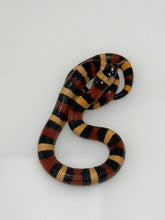Load image into Gallery viewer, Apricot Pueblan Milk Snake- (MS4)