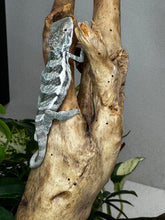 Load image into Gallery viewer, SURPRISE male: (R8)