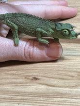 Load image into Gallery viewer, Male Jackson’s Chameleon: I5