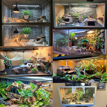 Load image into Gallery viewer, 4'x2'x2' Reptile Enclosure - The Zen Habitat 3.0