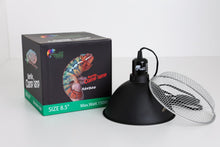 Load image into Gallery viewer, Size 12: 12"x12"x18" All-In-One Essential Baby Chameleon Kit