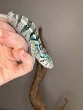 Load image into Gallery viewer, Close-up showing blues and light yellow-orange highlights