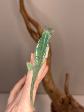 Load image into Gallery viewer, Juvenile Rainbow Skittles Panther Chameleon from Aslan × Flash pairing showing unique color patterns