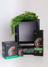 Load image into Gallery viewer, Size 12: 12"x12"x18" All-In-One Essential Baby Chameleon Kit