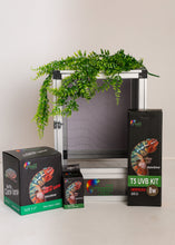 Load image into Gallery viewer, Size 12: 12"x12"x18" All-In-One Essential Baby Chameleon Kit