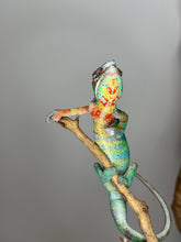 Load image into Gallery viewer, Juvenile Ambilobe Panther Chameleon on hand, showing size, temperament, and early coloration