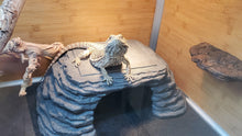 Load image into Gallery viewer, Zen Cave with 9"x7" Slate Stone – Ultimate Basking and Hiding Spot for Reptiles