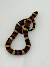 Load image into Gallery viewer, Apricot Pueblan Milk Snake- (MS4)
