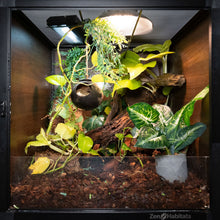 Load image into Gallery viewer, 2&#39;x2&#39;x2&#39; Reptile Enclosure - The Zen Habitat 3.0
