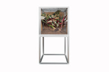 Load image into Gallery viewer, Enclosure Stand - for 2'x2' based Zen Habitats Enclosures
