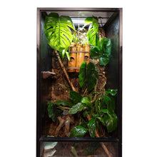 Load image into Gallery viewer, 2&#39;x2&#39;x4&#39; Reptile Enclosure - The Zen Habitat 3.0
