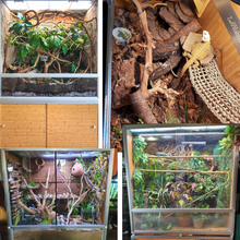 Load image into Gallery viewer, 4&#39;x2&#39;x4&#39; Reptile Enclosure - The Zen Habitat 3.0
