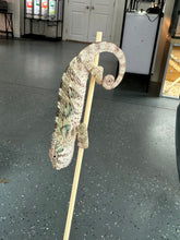 Load image into Gallery viewer, AMBILOBE Panther Chameleon: Sam x Georgia (P10)
