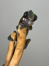 Load image into Gallery viewer, AMILOBE Panther Chameleon: (E16)
