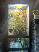 Load image into Gallery viewer, Size 24: 24&quot;x24&quot;x48&quot; Deluxe All-In-One WIFI Controlled Automated Chameleon kit
