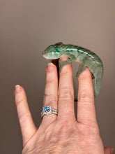 Load image into Gallery viewer, AMBANJA Panther Chameleon: (E4)
