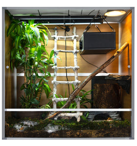 4'x2'x4' Reptile Enclosure - The Zen Habitat 3.0