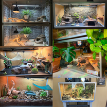 Load image into Gallery viewer, 4&#39;x2&#39;x2&#39; Meridian Wood Reptile Enclosure
