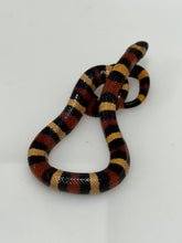 Load image into Gallery viewer, Apricot Pueblan Milk Snake- (MS4)
