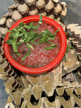 Load image into Gallery viewer, Dubia roaches being fed in their bin on a red plate that contains water crystals, shredded kale, spirulina and bee pollen. Their egg crates have also been sprinkled with FramsChams Feeder Feast, our powdered gutload.
