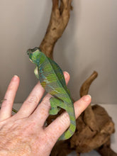 Load image into Gallery viewer, The back or dorsal crest of an ambilobe panther chameleon
