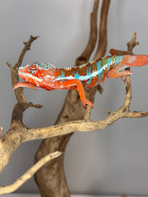 Load image into Gallery viewer, AMILOBE Panther Chameleon: (J7)
